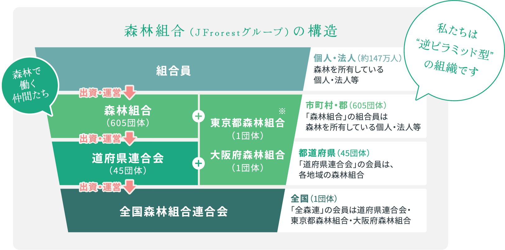 森林組合（JFrorestグループ）の構造